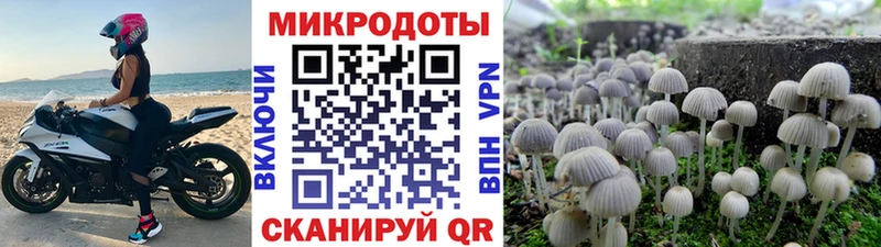 Псилоцибиновые грибы мухоморы  купить наркотик  Донецк 