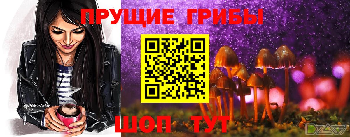 Псилоцибиновые грибы Magic Shrooms Донецк