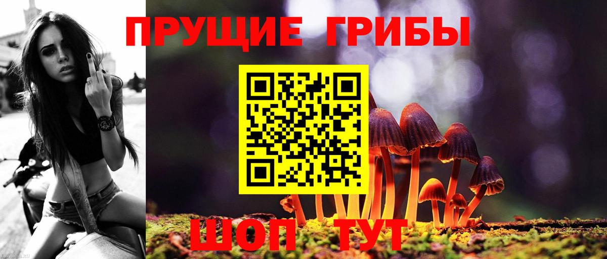 Псилоцибиновые грибы мухоморы  магазин продажи   Донецк  Вход с VPN 